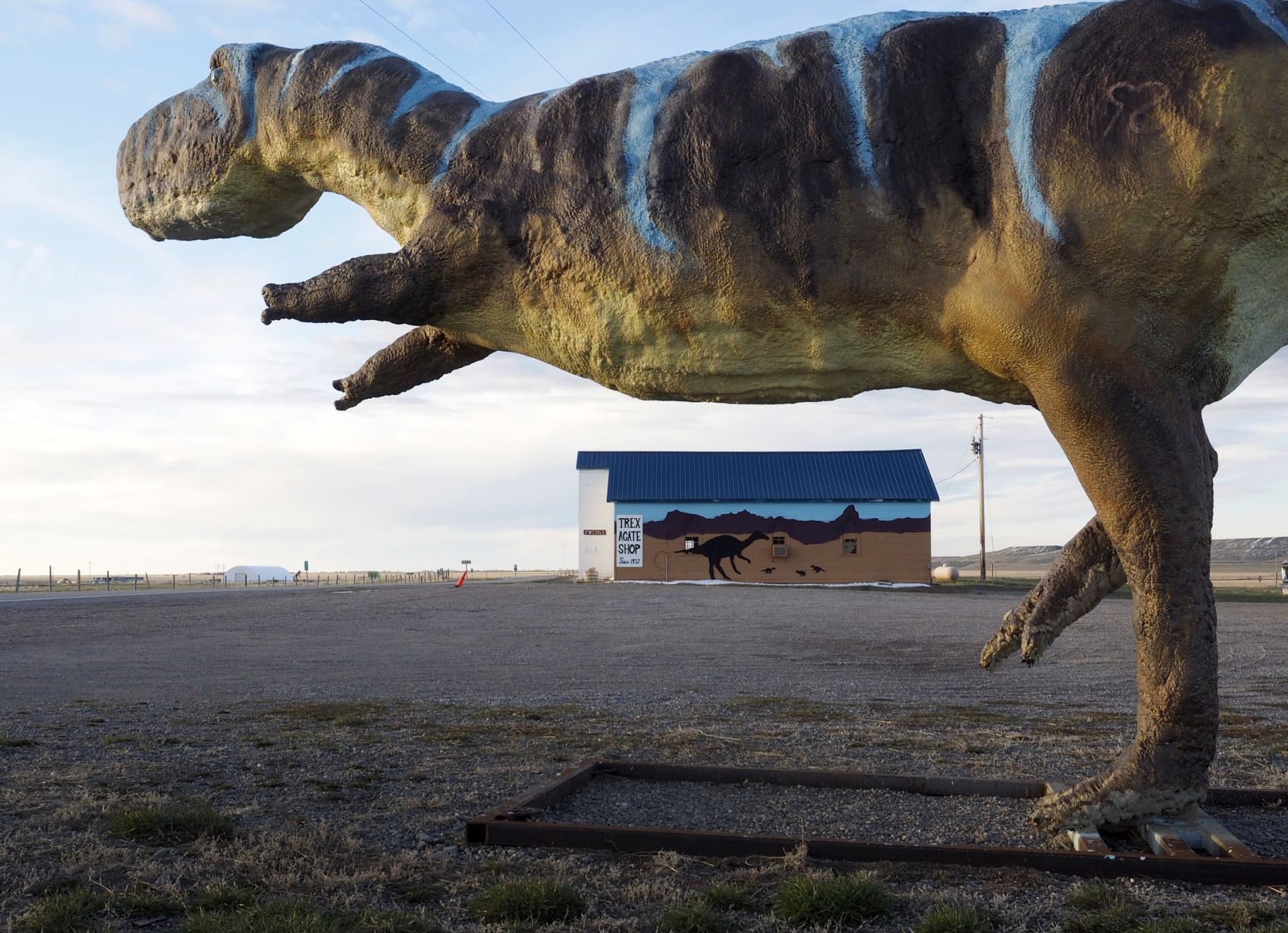 Two Medicine Dinosaur Museum